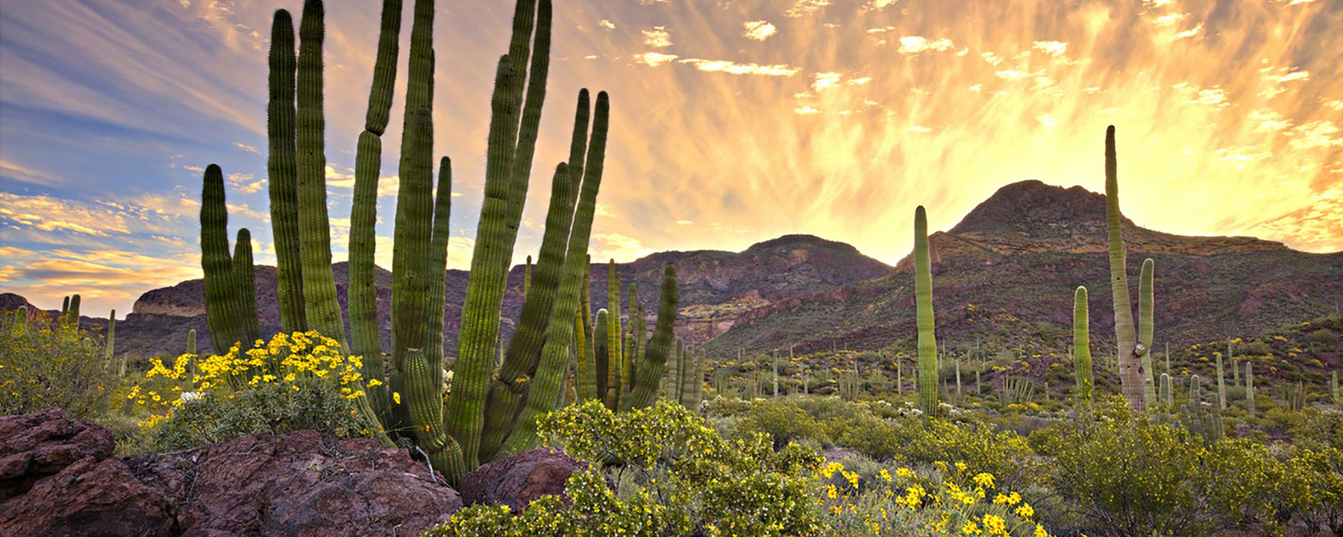 Inspiring innovation - Salazar Center for North American Conservation